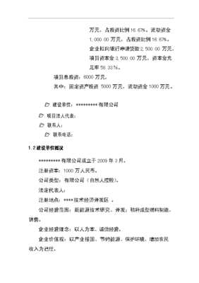 (终稿)万吨生物质秸秆固体成型燃料新建项目投资立项备案核准融资贷款申报资料.doc(OK版)